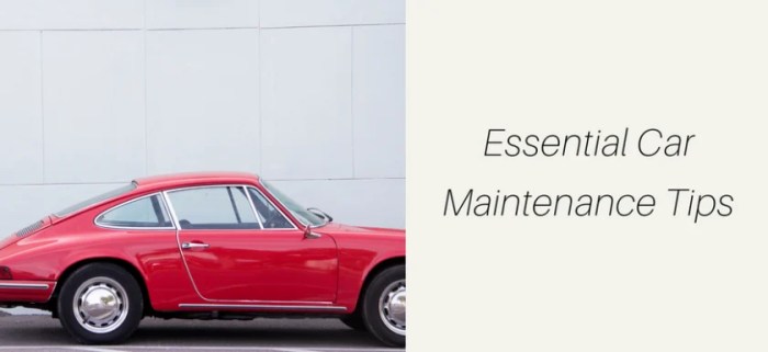 Supercar Maintenance Tips Every Owner Should Know