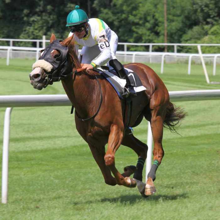 How Racing Teams Use Supercar Tech Innovations