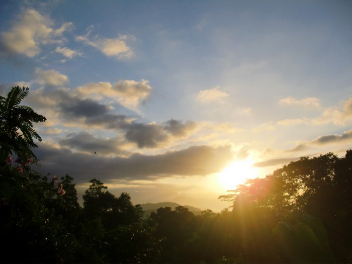 Sun Rise Free Stock Photo - Public Domain Pictures The Rise of Electric Hypercars: What You Need to Know